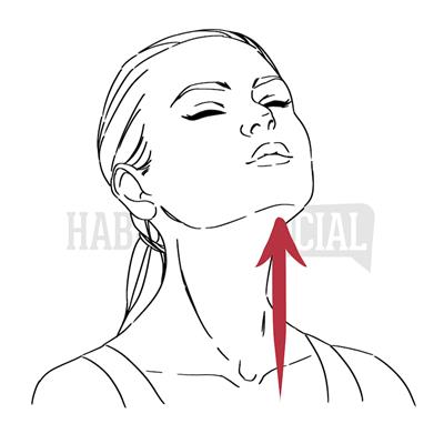 Levantar la barbilla